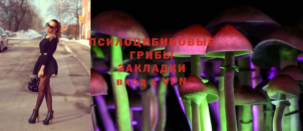 СК Строитель