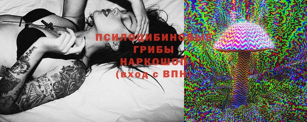 стафф Сясьстрой