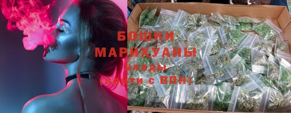 стафф Сясьстрой