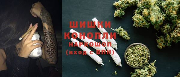 спиды Тавда