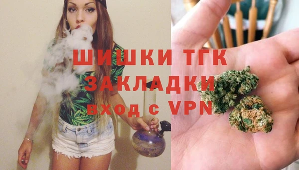 ешки Богданович