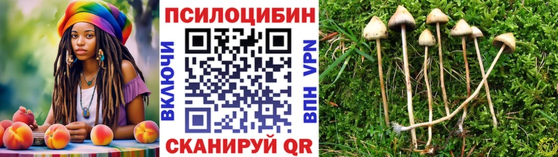 мориарти телеграм Электрогорск Псилоцибиновые грибы Cubensis
